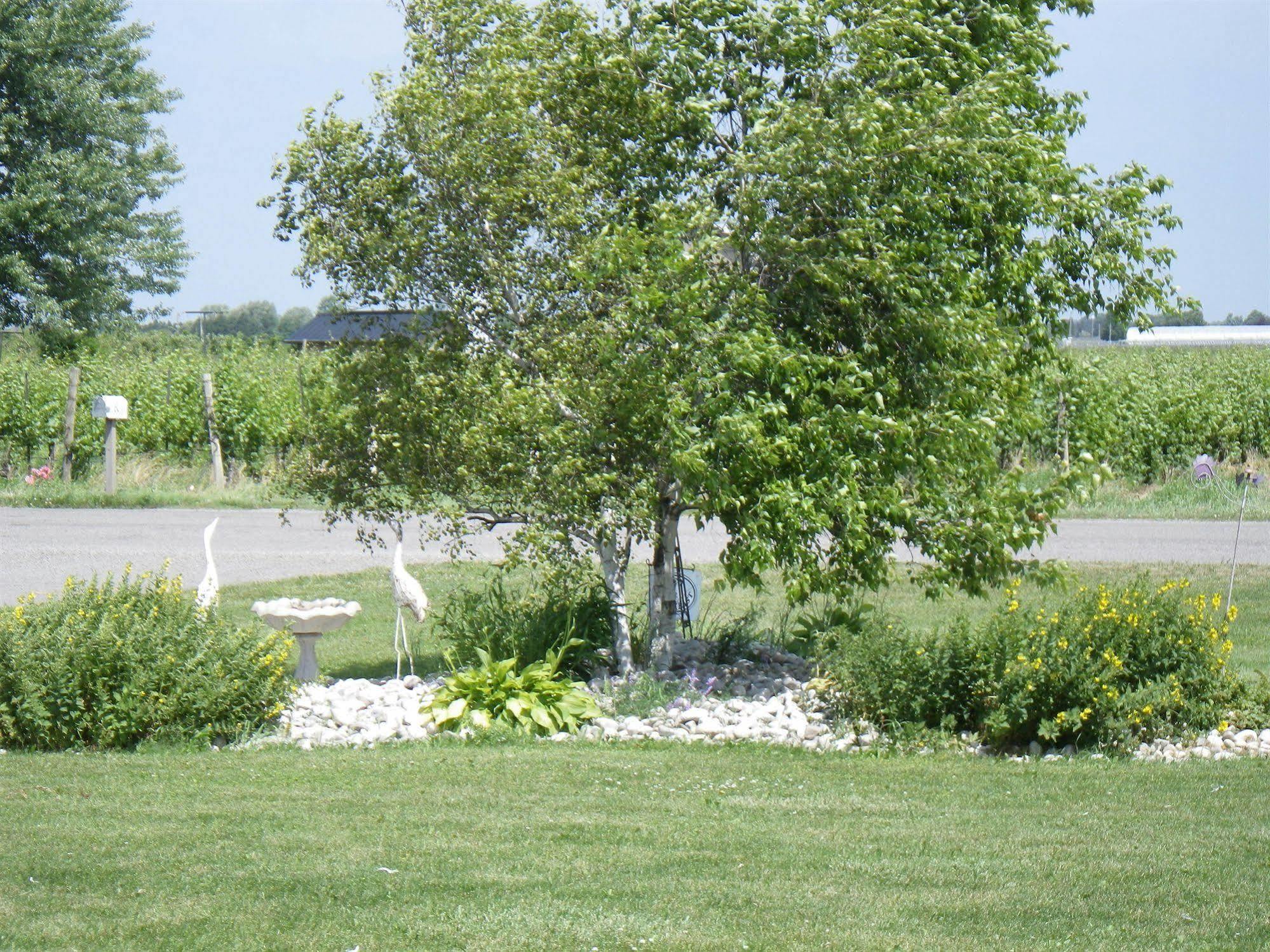 A Vineyard View Bed&Breakfast Niagara-on-the-Lake Exterior foto