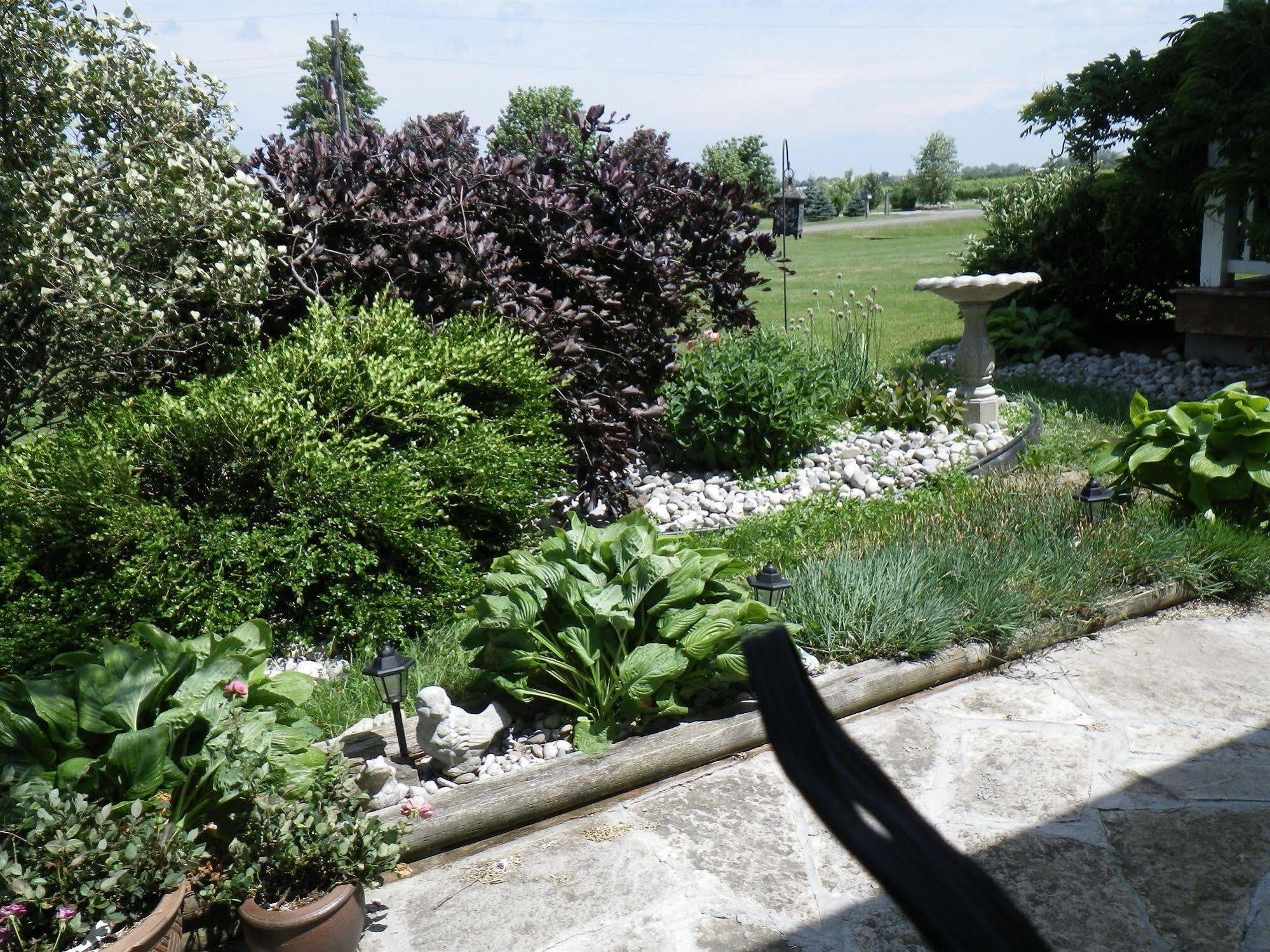 A Vineyard View Bed&Breakfast Niagara-on-the-Lake Exterior foto